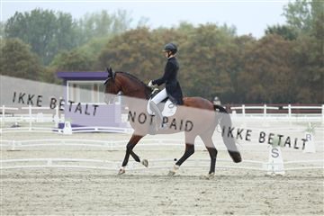 181923_mtp_03_R62_7809.JPG