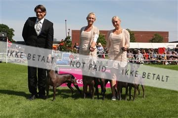 130370_se_02_IMG_6276.JPG