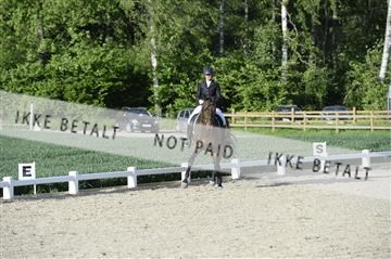 139898_ms_02__MS28788.JPG