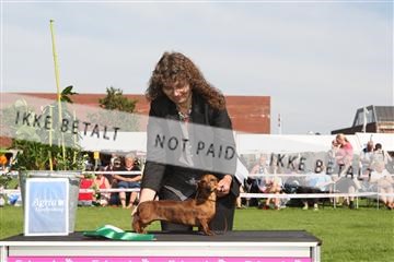 130370_se_02_IMG_6499.JPG