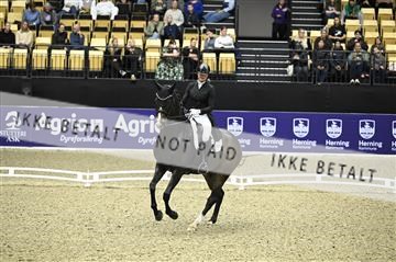 182194_kbb_02_Z099237.JPG