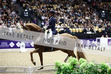 182194_avh_06_3583.JPG