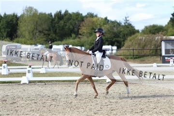 181894_mtp_05_R62_5087.JPG