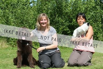 130370_se_03_IMG_7150.JPG