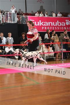 6068_ma_05_IMG_5475.JPG