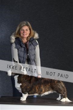 132082_le_ 01_IMG_0590.JPG