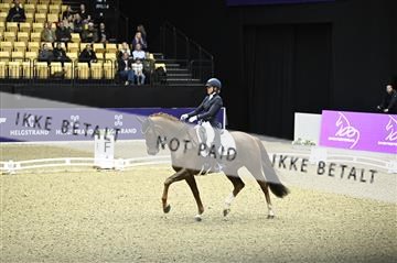 182194_kbb_02_Z099208.JPG