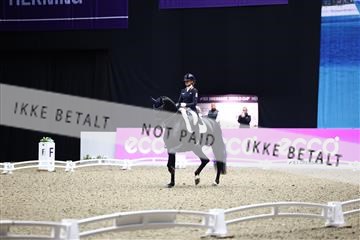 182194_avh_07_3988.JPG
