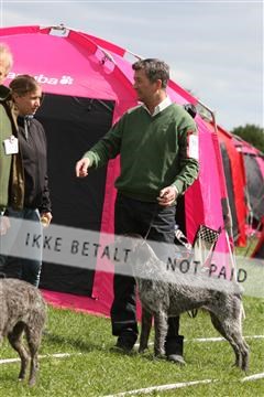 134871_ms_04_IMG_9964.JPG