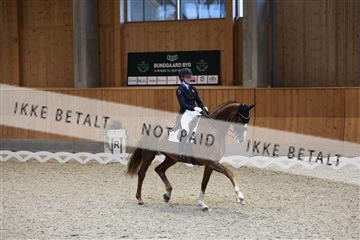 182176_mlm_01R62_9230.JPG