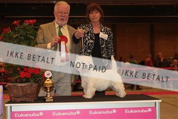 124188 _tl_02_IMG_9570.JPG