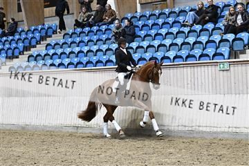 182241_kbb_01_Z093706.JPG
