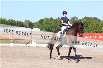 181449_bc_01R62_6225.JPG