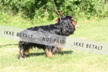 130370_se_03_IMG_7205.JPG