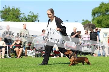 181564_rin_02_R62_3204.JPG