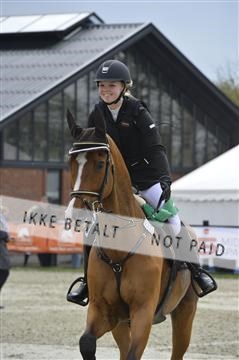 139644_abo_05__AB19901.JPG