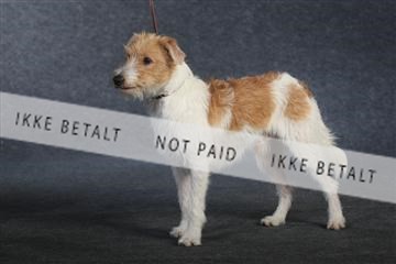 132082_le_ 01_IMG_0943.JPG