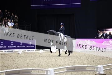 182194_avh_06_3217.JPG