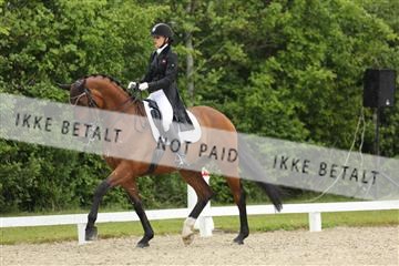 139835_sg_01_IMG_8289.JPG