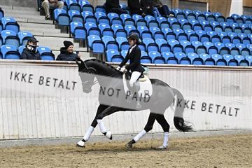 182241_kbb_01_Z093544.JPG