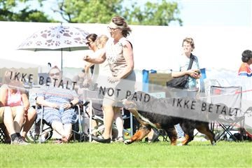 181564_rin_02_R62_3436.JPG