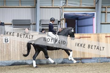182242_tbj_01_R62_6754.JPG