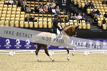 182194_kbb_03_Z090276.JPG