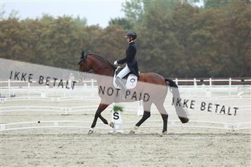 181923_mtp_03_R62_7808.JPG