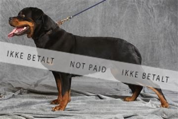 130054_le_ 03_0111.JPG