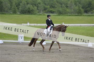140040_abo_01__AB17431.JPG