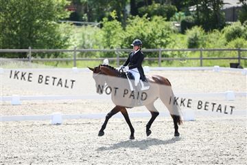 172030_mtp_01_3M5A2553.JPG