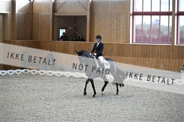 182176_kbb_01_Z093189.JPG