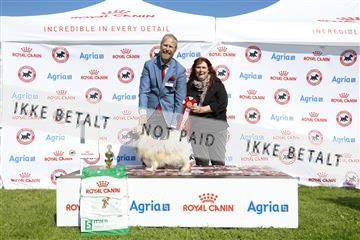 181564_kar_01__62_8116.JPG