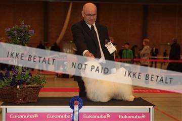 124188 _tl_02_IMG_9297.JPG