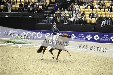 182194_kbb_02_Z099174.JPG