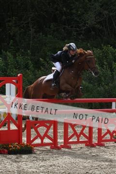 5350_sme _01_IMG_4424.JPG