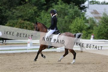 156196_nn_01_IMG_6057.JPG
