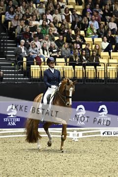 182194_kbb_03_Z091812.JPG