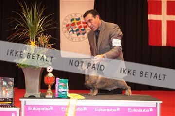 126827_tl_04_IMG_0158.JPG