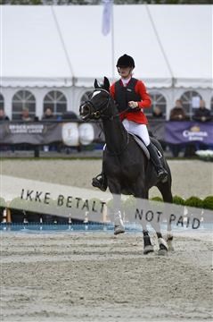 139644_abo_08__AB16045.JPG