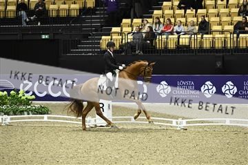 182194_kbb_01_Z096702.JPG