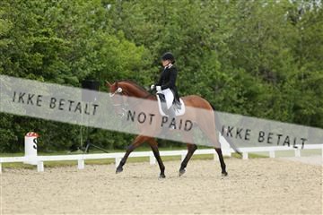 139835_sg_01_IMG_7853.JPG