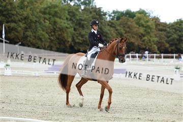181923_mtp_02_R62_7051.JPG