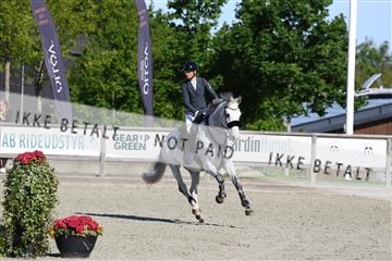 181436_avh_01_3333.JPG