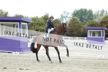 181923_mtp_04_R62_8831.JPG
