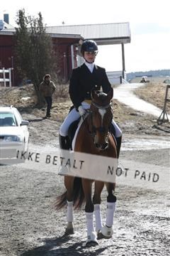 139267_kl_1_8M1Q6696.JPG