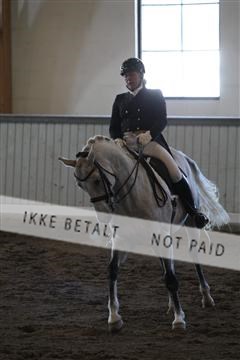 139267_kl_1_8M1Q6527.JPG