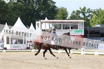 179800_BC_03_00125.JPG