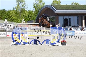 181436_avh_02_3888.JPG