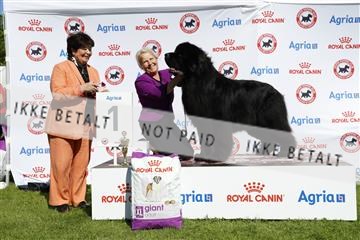 181564_ch_01__62_0131.JPG